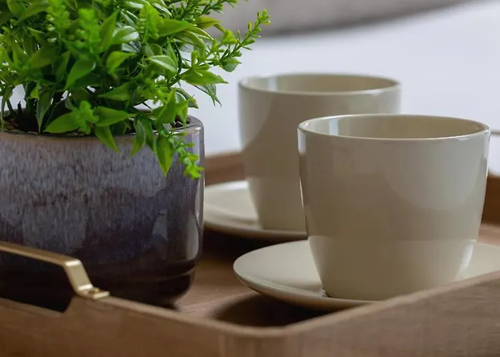 Rakowicka Modern In Downtown Cracow By Rent Like 公寓 克拉科夫